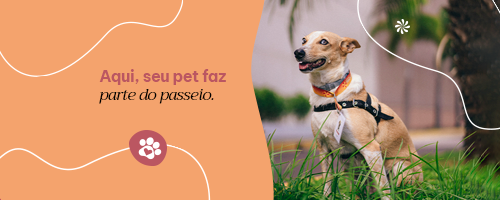 O Praça é Pet Friendly!