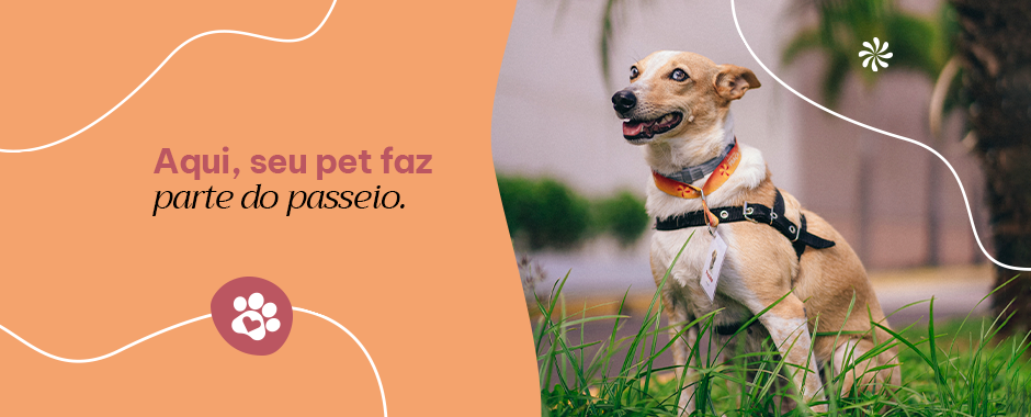O Praça é Pet Friendly!